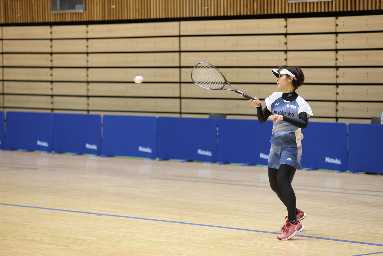 日本リーグ入替戦