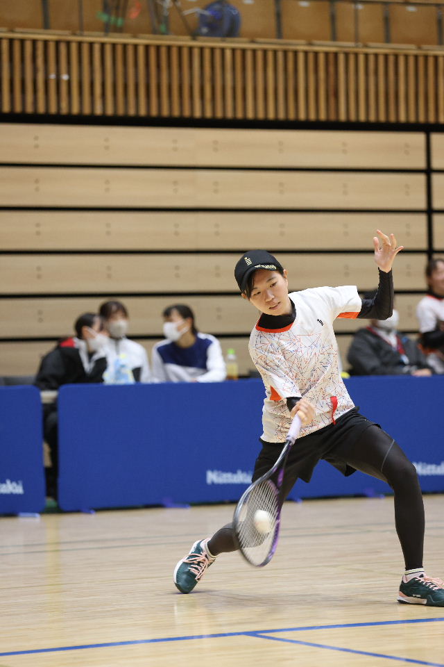 日本リーグ入替戦