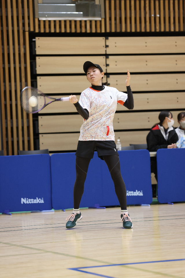 日本リーグ入替戦