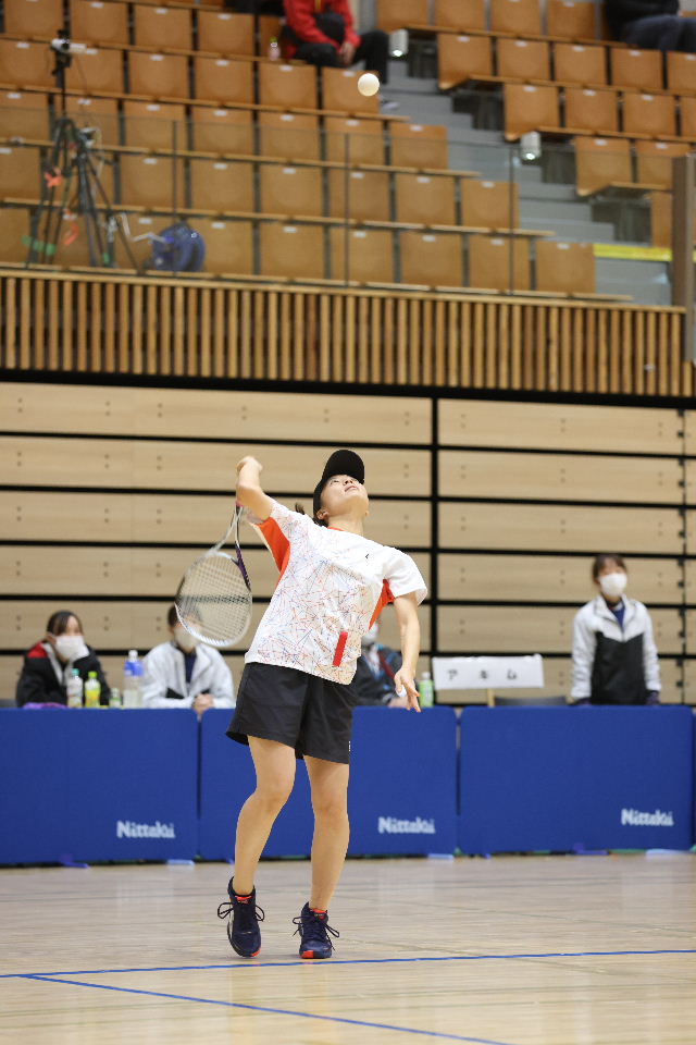 日本リーグ入替戦