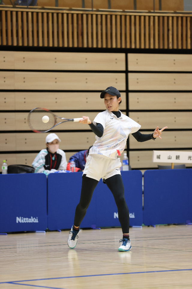 日本リーグ入替戦