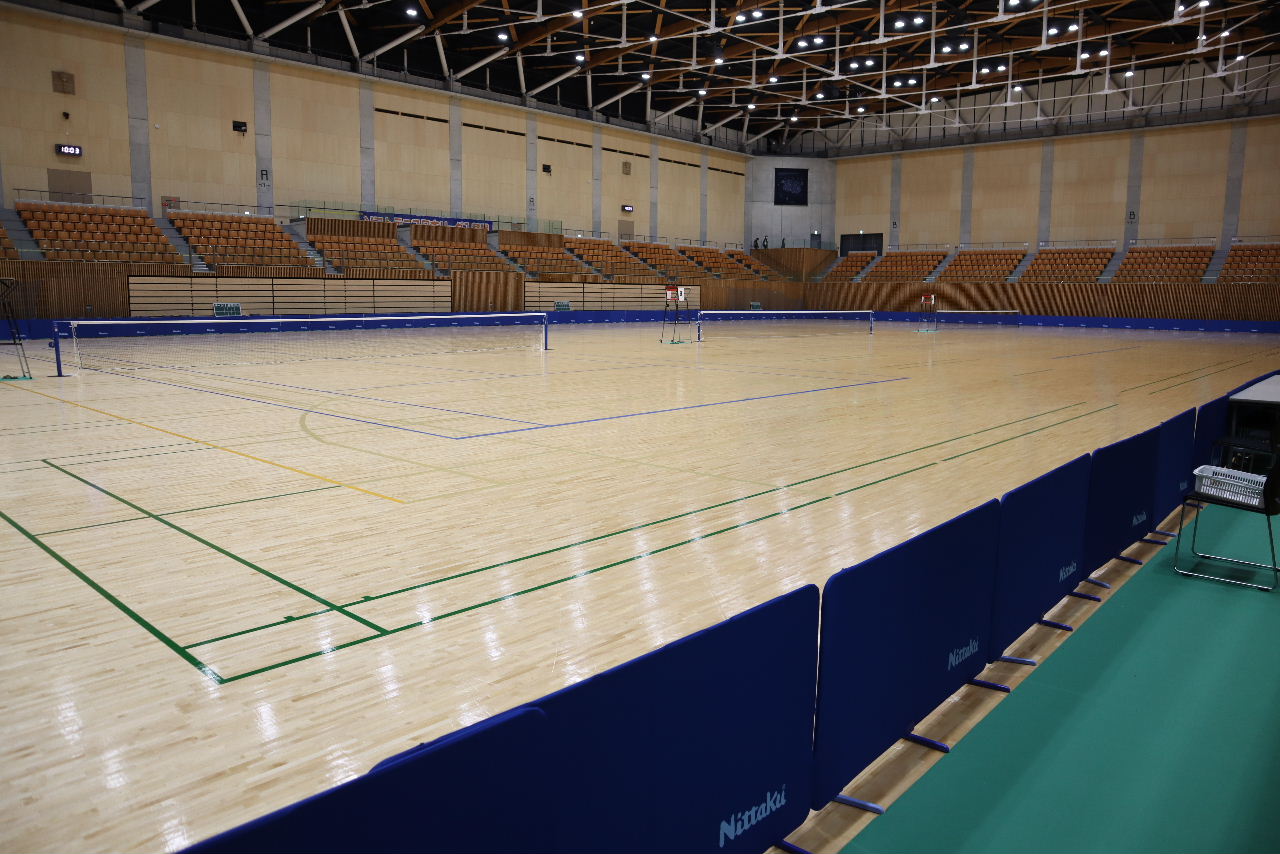 日本リーグ入替戦