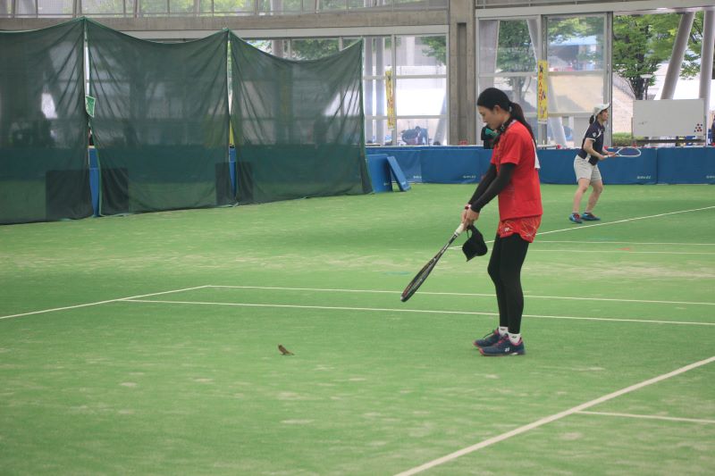 第29回 全日本シングルス選手権大会