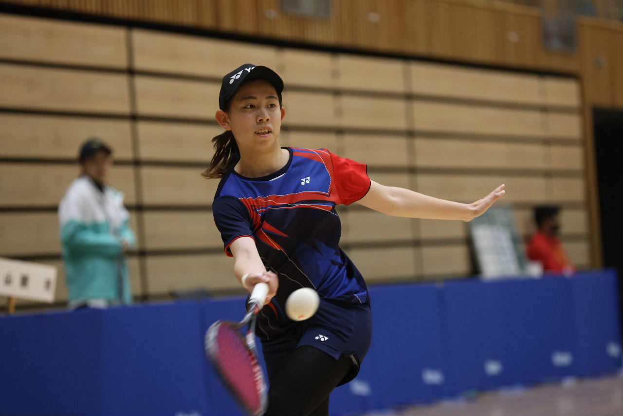 日本リーグ入替戦