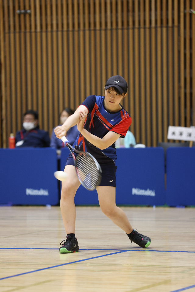 日本リーグ入替戦