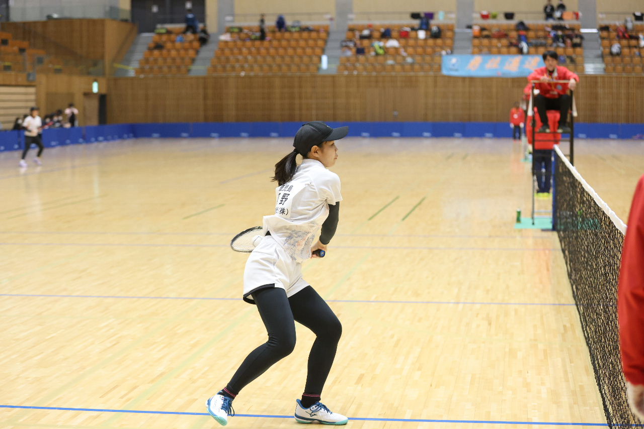 日本リーグ入替戦