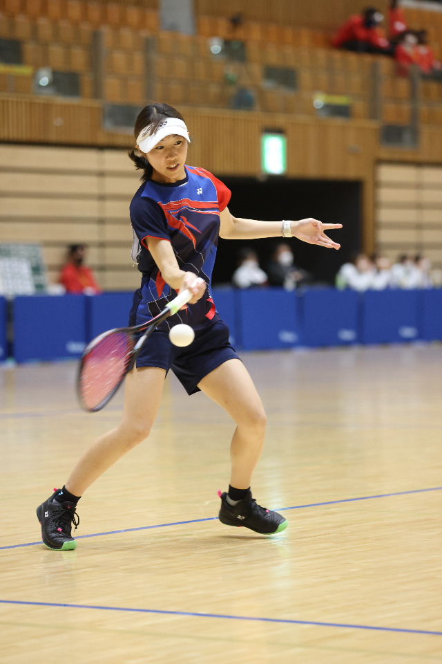 日本リーグ入替戦