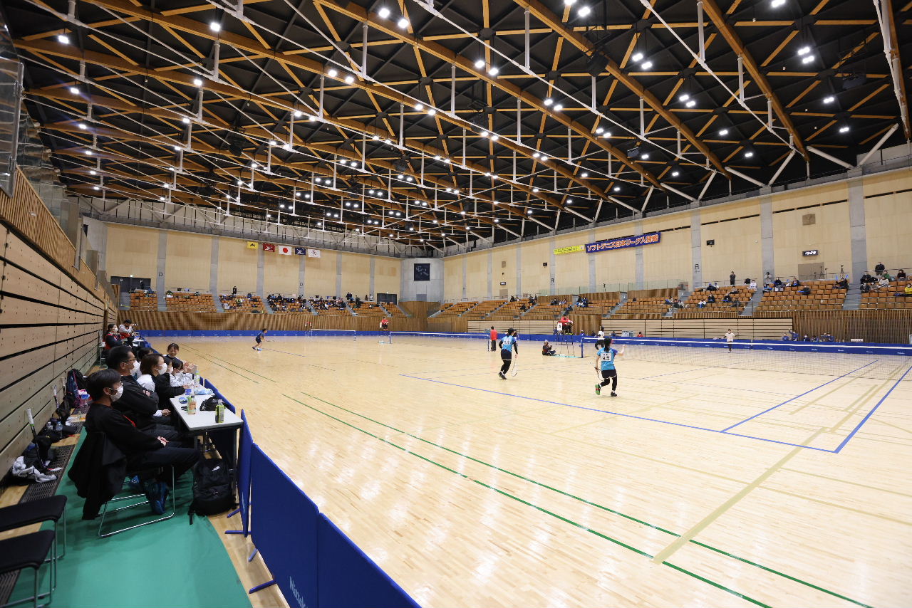 日本リーグ入替戦
