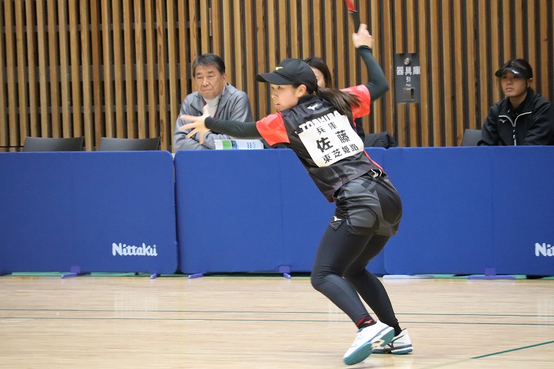 STリーグ プレーオフ