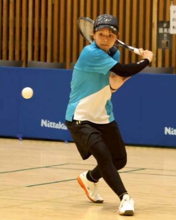 STリーグ プレーオフ